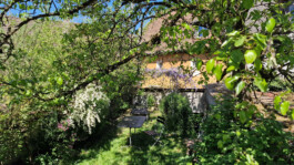 Privater Garten mit Sitzplatz, blühenden Sträuchern und altem Baumbestand beim Altstadthaus Laufenburg CH.