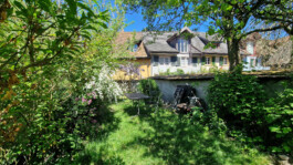 Privater Garten mit Sitzplatz, blühenden Sträuchern und seitlichem Zugang beim Altstadthaus Laufenburg CH.