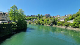 Blick über den Rhein bei Laufenburg mit grünen Ufern, Bäumen und Häusern am Hang.